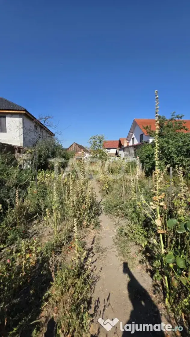 Casa saseasca de vanzare in Petresti judetul Alba - Petresti (Alba)