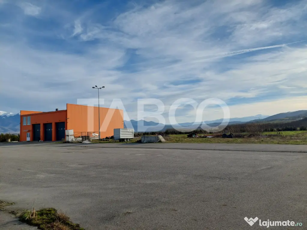 Hala industriala de vanzare cu teren de 12000 mp Bradu Sibiu - Sibiu (Sibiu)