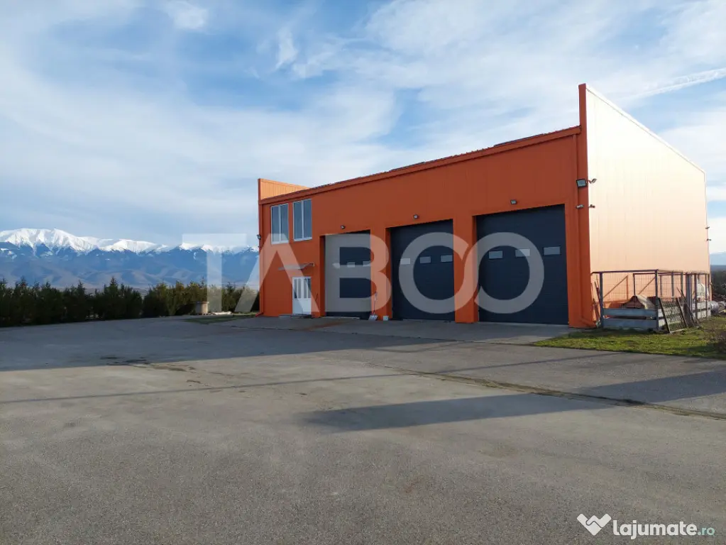 Hala industriala de vanzare cu teren de 12000 mp Bradu Sibiu - Sibiu (Sibiu)