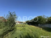 Teren intravilan de vanzare 4783 mp toate utilitatile Turnis