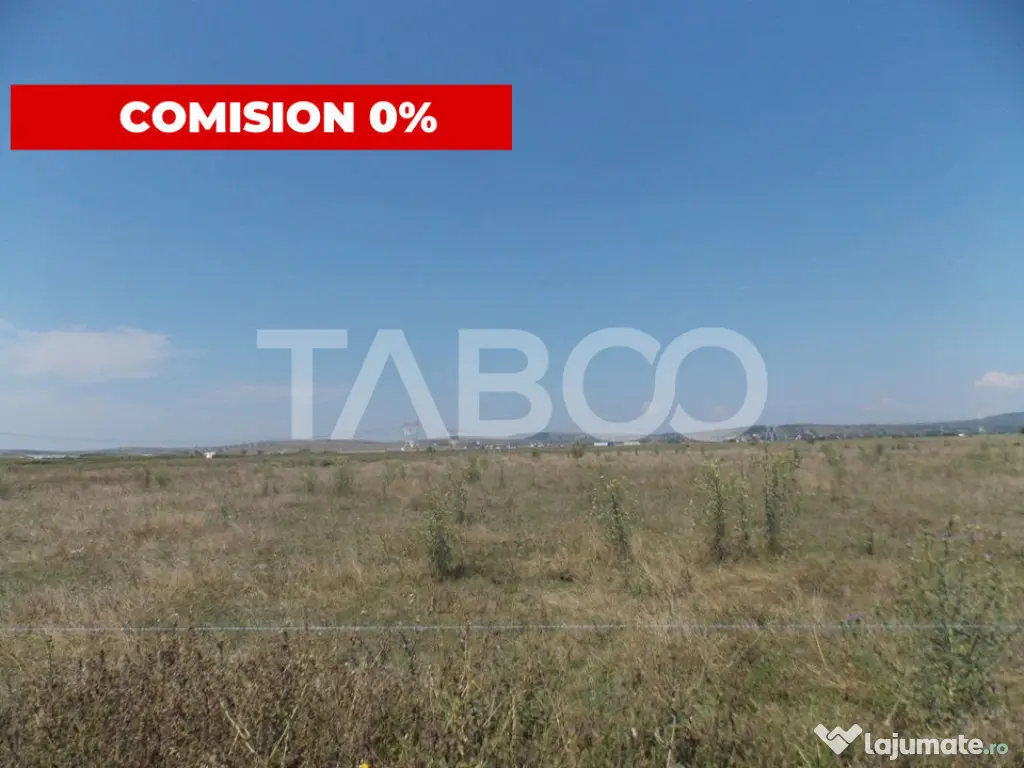 Teren intravilan 31300 mp utilitati autorizatie de construct - Sibiu (Sibiu)