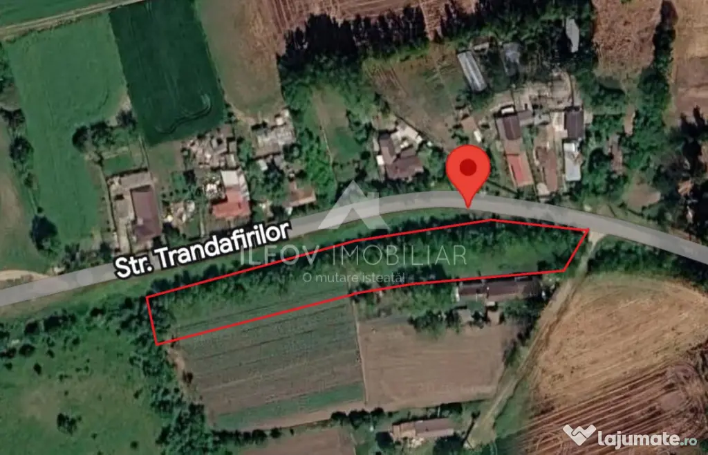 Teren intravilan Nuci, 3100mp, deschidere 171.5m, asfalt - Merii Petchii (Bucuresti-Ilfov)