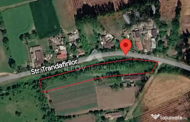 Teren intravilan Nuci, 3100mp, deschidere 171.5m, asfalt - Merii Petchii (Bucuresti-Ilfov)