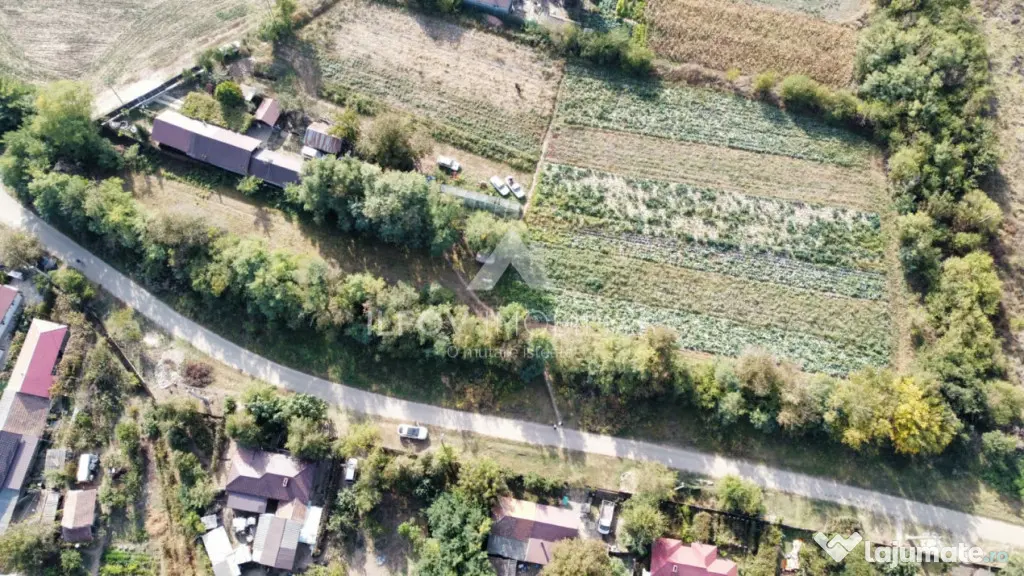 Teren intravilan Nuci, 3100mp, deschidere 171.5m, asfalt - Merii Petchii (Bucuresti-Ilfov)