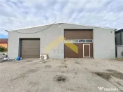 Hala 250 mp de inchiriat in zona industriala Vladimirescu 