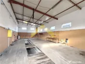 Hala 250 mp de inchiriat in zona industriala Vladimirescu 