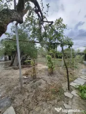 Casă renovată, 3 camere, teren 2.252 mp, anexe, acces din 