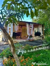 Închiriez hală 150 mp – depozitare / producție / atelier + teren 500 mp + birou 