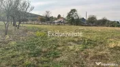 Teren intravilan – 1.135 mp, sat Crampotani, com. Merisani 
