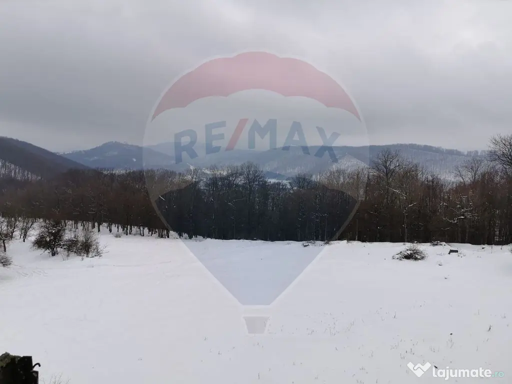 Apartamente/Cladiri rezidential/Statiune montana Anina, Orasul Nou - Anina (Caras-Severin)