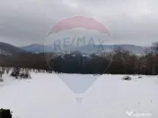 Apartamente/Cladiri rezidential/Statiune montana Anina, Orasul Nou 