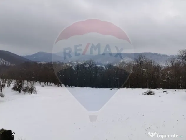 Apartamente/Cladiri rezidential/Statiune montana Anina, Orasul Nou - Anina (Caras-Severin)