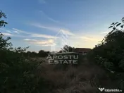 Teren intravilan, 648 mp, Zona Braytim - Muzeul Apei 