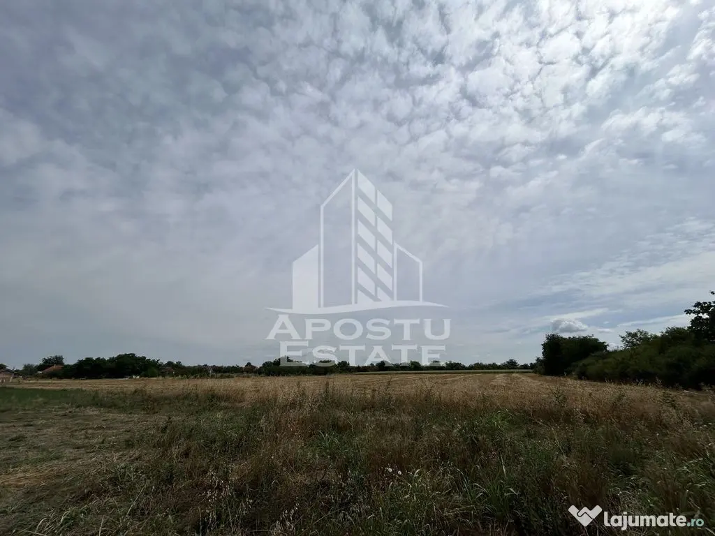 Parcela intravilan, vatra veche, 2248 mp, Parta Timis - Parta (Timis)