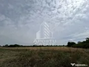 Parcela intravilan, vatra veche, 2248 mp, Parta Timis 