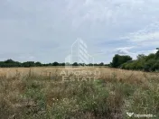 Parcela intravilan, vatra veche, 2248 mp, Parta Timis 