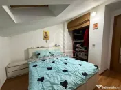 Doua apartamente la curte comuna separata, zona Timocului, Timisoata
