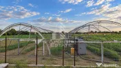 Casa individuala 2.877 mp teren si 4 solarii Gottlob - COMISION ZERO 