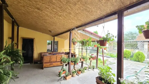 Casa Individuala Dragsina, Teren 2600 Mp Comision Cumparator ZERO % - Dragsina (Timis)