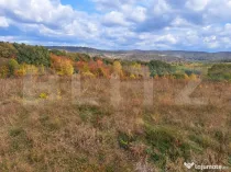 Teren intravilan, 5700 mp, zona Vațman