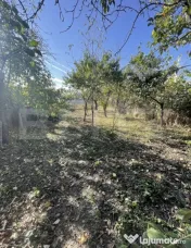 Casă cu teren de 769 mp, Gherla