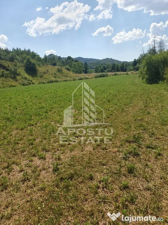 Teren intravilan de 2848mp, Tinutul Padurenilor, sat Negoiu, Hunedoara - Negoiu (Hunedoara)