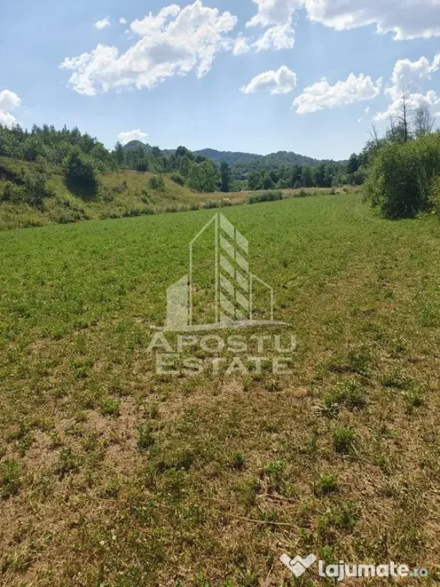 Teren intravilan de 2848mp, Tinutul Padurenilor, sat Negoiu, Hunedoara - Negoiu (Hunedoara)
