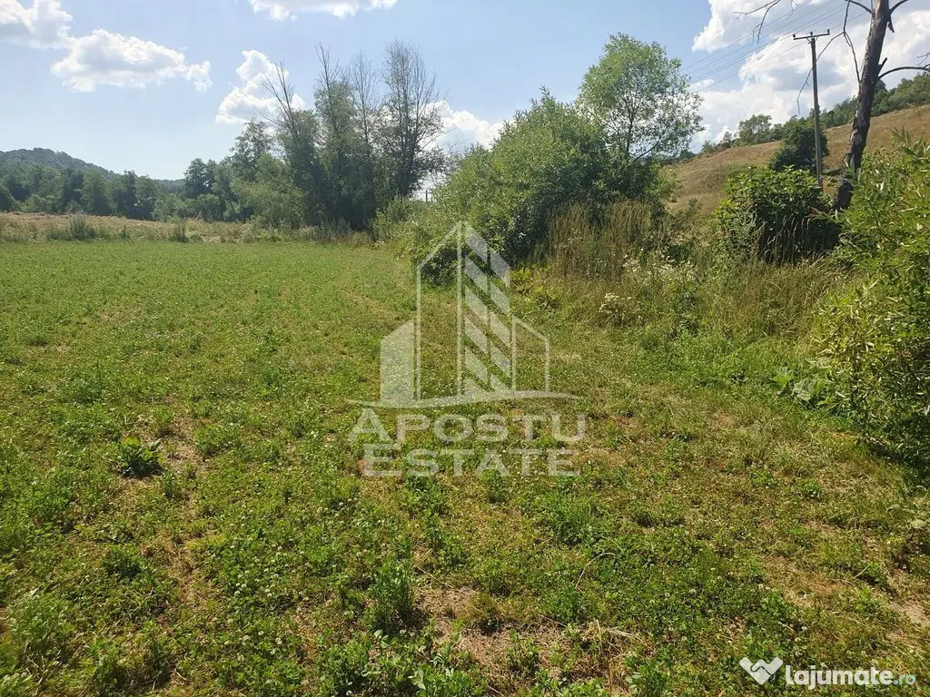 Teren intravilan de 2848mp, Tinutul Padurenilor, sat Negoiu, Hunedoara - Negoiu (Hunedoara)