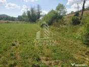 Teren intravilan de 2848mp, Tinutul Padurenilor, sat Negoiu, Hunedoara 