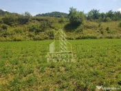 Teren intravilan de 2848mp, Tinutul Padurenilor, sat Negoiu, Hunedoara 