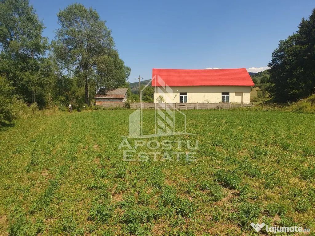 Teren intravilan de 2848mp, Tinutul Padurenilor, sat Negoiu, Hunedoara - Negoiu (Hunedoara)