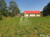 Teren intravilan de 2848mp, Tinutul Padurenilor, sat Negoiu, Hunedoara 