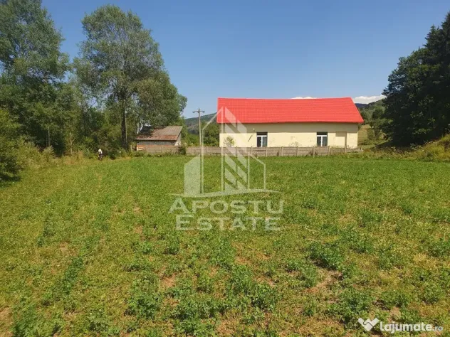 Teren intravilan de 2848mp, Tinutul Padurenilor, sat Negoiu, Hunedoara - Negoiu (Hunedoara)