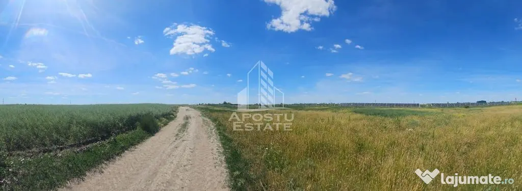 Teren extravilan, 39,600 mp, zona Gai - Arad (Arad)