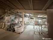 Afacere la cheie, hala cu teren de vanzare, zona Gilau 