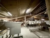 Afacere la cheie, hala cu teren de vanzare, zona Gilau 