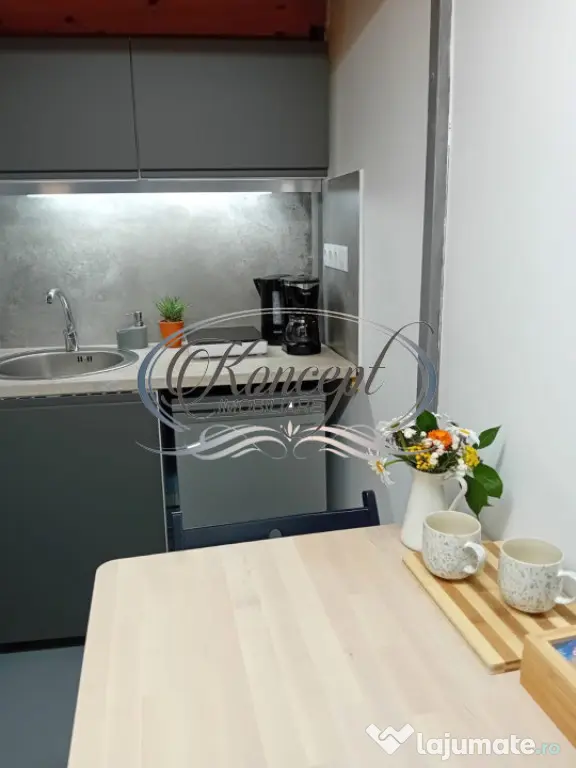 Centru, apartament cu 1 camera de vanzare, autorizat pentru - Cluj-Napoca (Cluj)