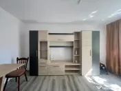 Apartament cu o camera, renovat, 30 mp utili, parter - Zona