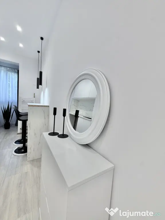 Apartament 1 camera, renovat complet in Blascovici - Timisoara (Timis)