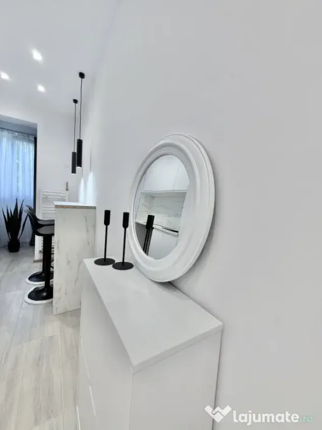 Apartament 1 camera, renovat complet in Blascovici - Timisoara (Timis)