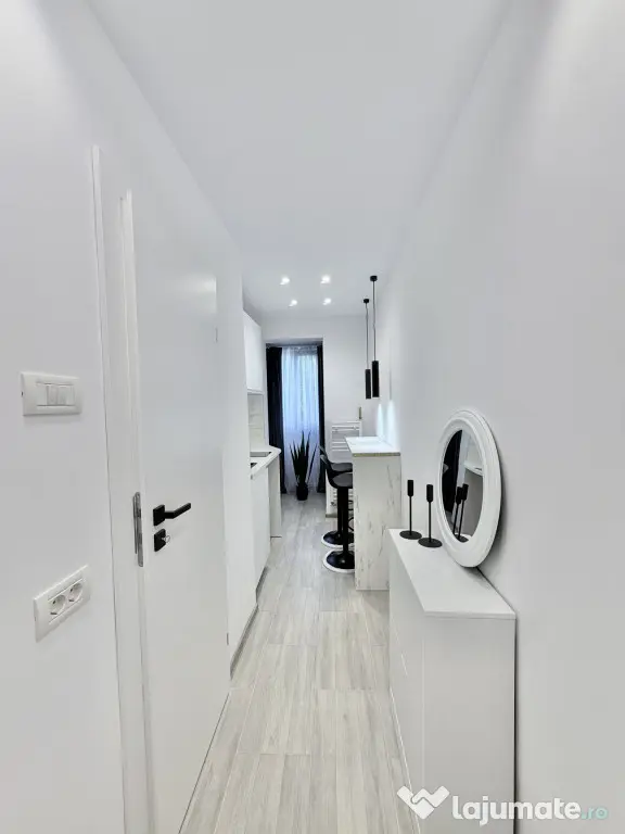 Apartament 1 camera, renovat complet in Blascovici - Timisoara (Timis)