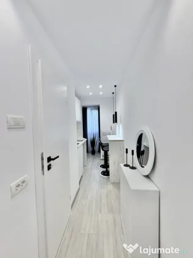 Apartament 1 camera, renovat complet in Blascovici - Timisoara (Timis)