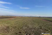 Teren in suprafata 500 mp, Sanpetru-Bod 