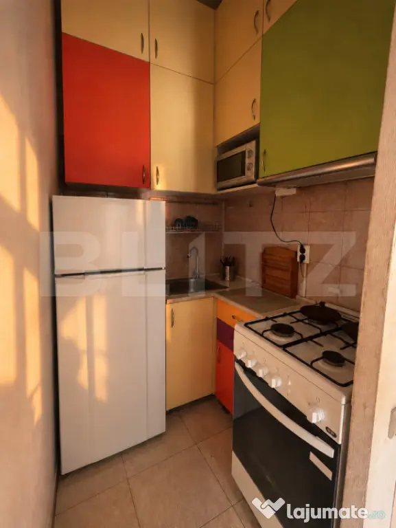 Garsonieră 18 mp,loc de parcare în curte, Grigorescu, Parc - Cluj-Napoca (Cluj)
