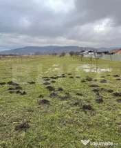 Teren 56 ari, Brâncovenești 