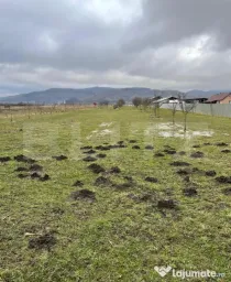 Teren 56 ari, Brâncovenești