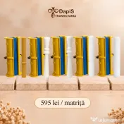 Matrițe Profesionale Lumânări (Diferite variații) 