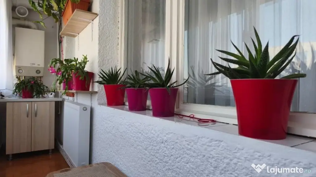 Apartament decomandat 3 camere in Deva, zona Iuliu Maniu - Deva (Hunedoara)