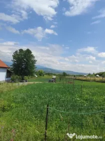 Teren 3 parcele la intrare in Jelna