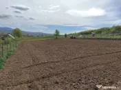 Teren 3 parcele la intrare in Jelna